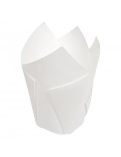 Capsula Tulipa 50x50/80 mm....